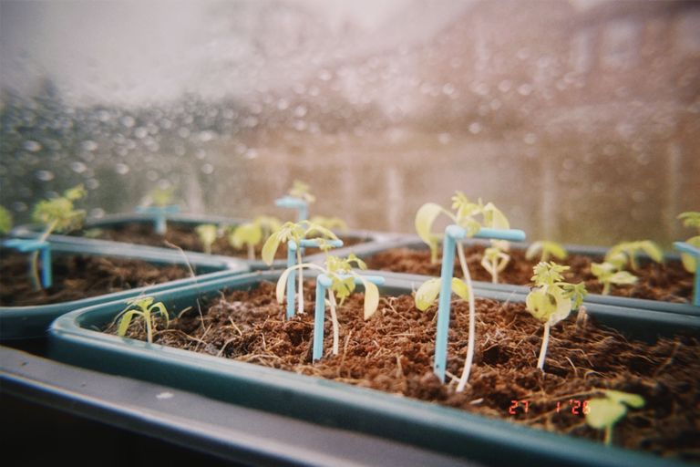 Artwork from project Studio and Life